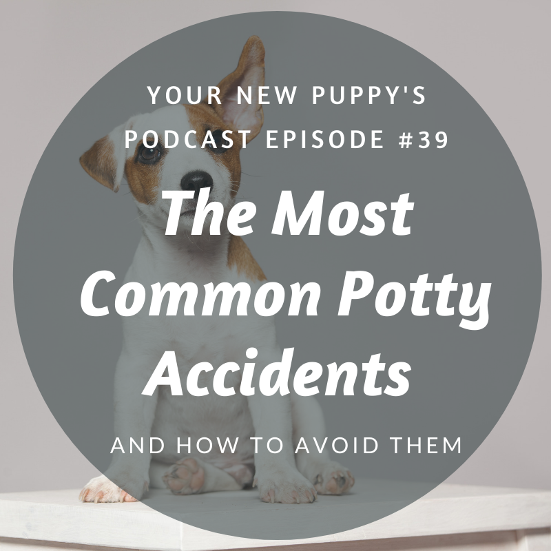 10 Potty Accidents