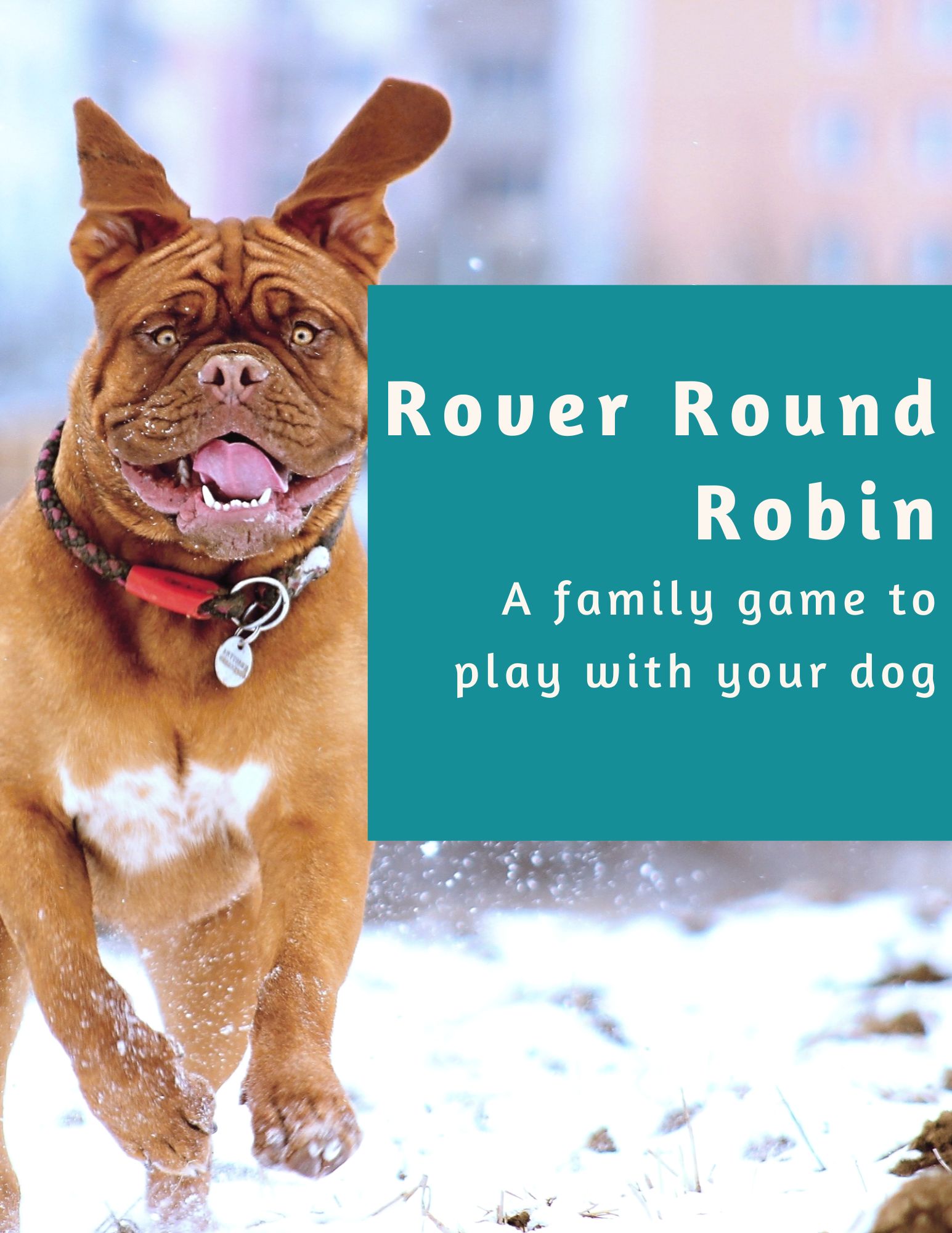 A brown dog running in the snow next to text that reads, "Rover Round Robin: A family game to play with your dog.