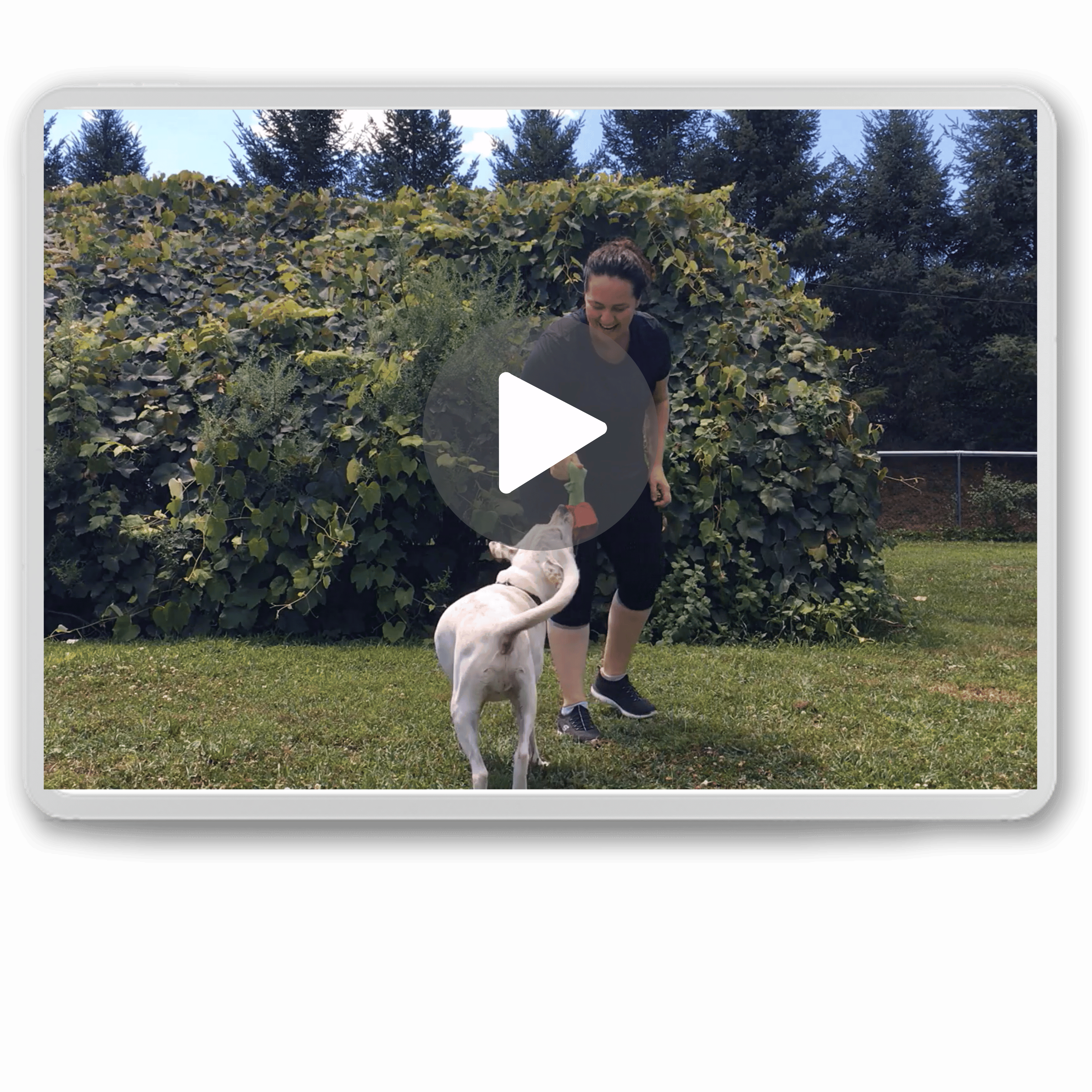 Debbie plays with a dog on grassy ground in front of a leafy hedge, with trees in the background.