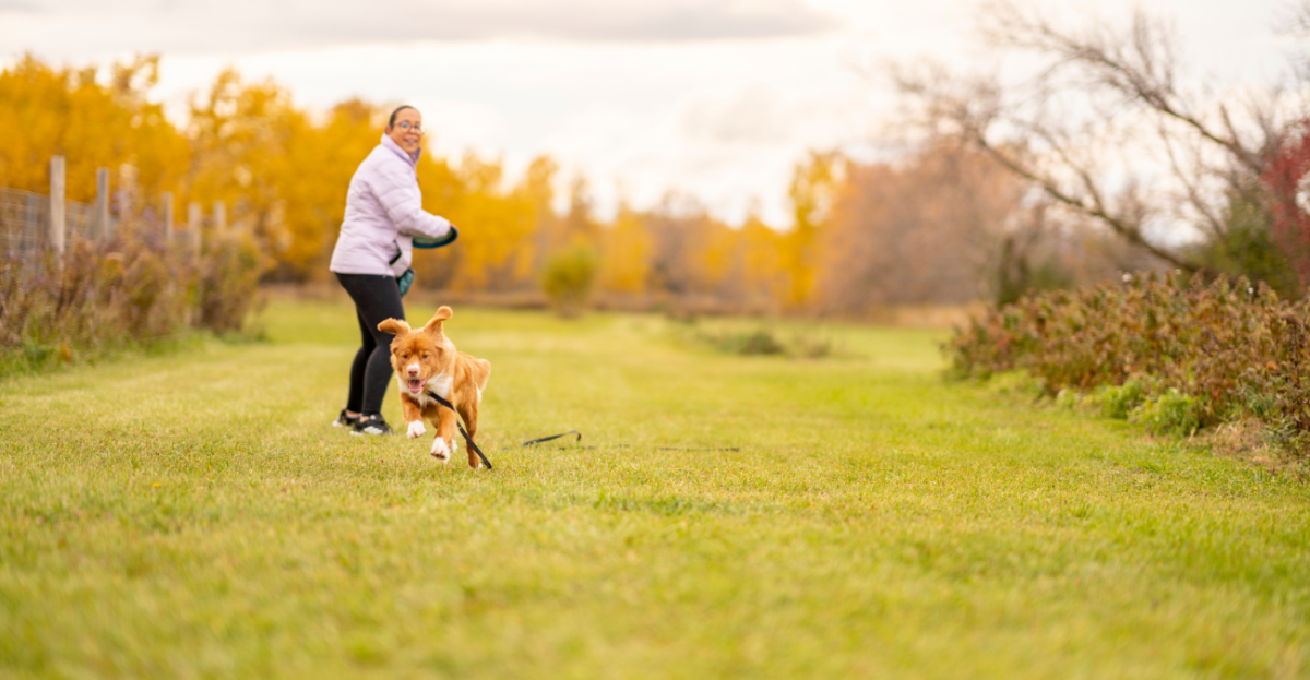 A dog runs on a grassy path while a person throws a ball to play fetch in the background. The trees have autumn foliage.