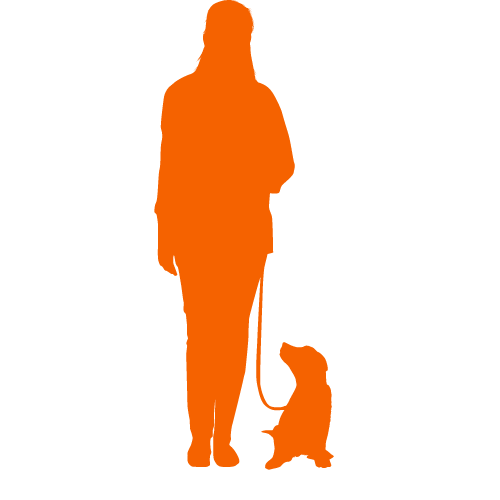 Silhouette of a person standing with a dog sitting beside them on a leash.