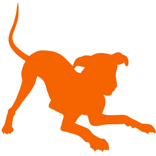 Silhouette of an orange dog in a playful stance, seen from the side against a white background.