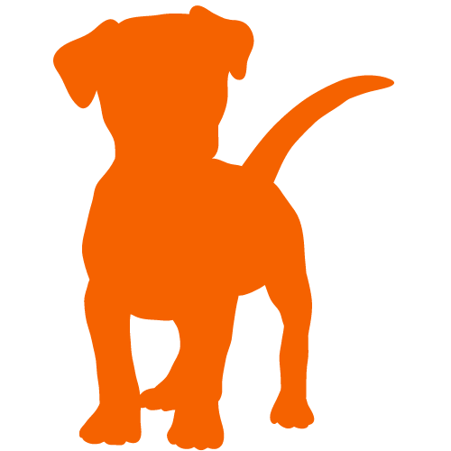 Silhouette of an orange dog standing with its tail raised, viewed from the side.