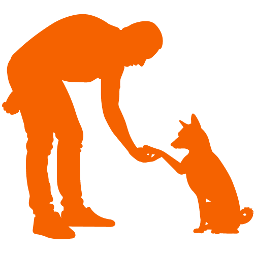 Silhouette of a person kneeling and shaking hands with a sitting dog.