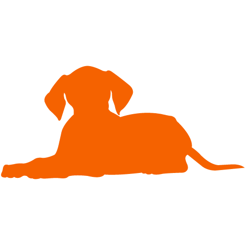 Silhouette of a dog lying down, depicted in solid orange.