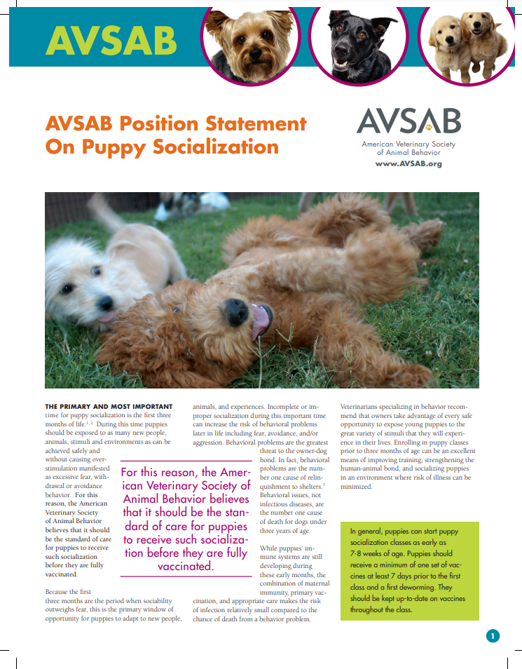 Cover of AVSAB Position Statement on Puppy Socialization with images of puppies and text detailing the importance of early socialization and vaccination guidelines.