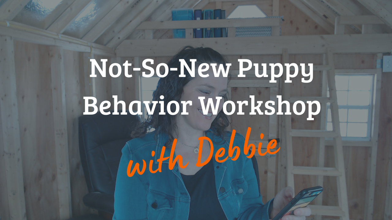 A woman in a cabin holding a phone, with text overlay: "Not-So-New Puppy Behavior Workshop with Debbie.