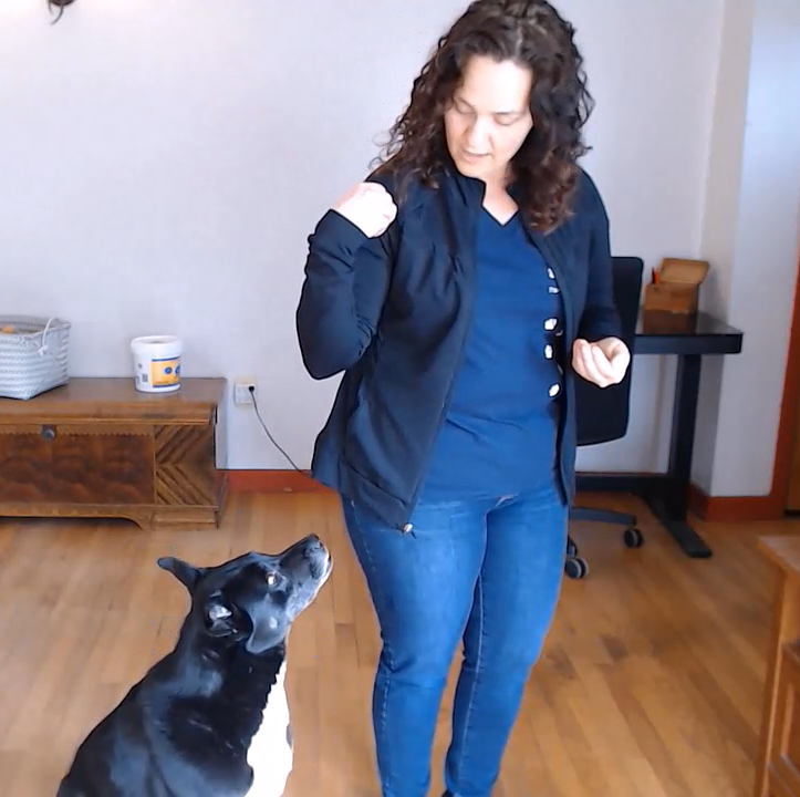 Debbie wearing a blue shirt and black jacket training Miriah, a black and white dog sitting and looking up at her in a room with wooden furniture.